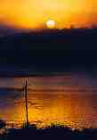 The Break of Dawn: C-146