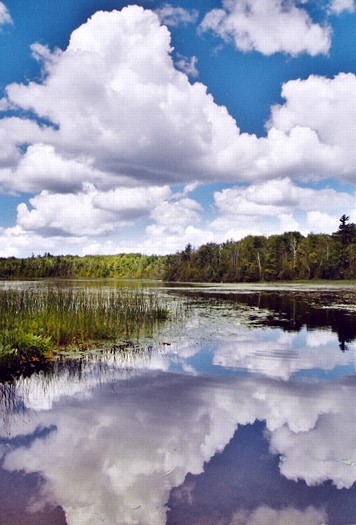 Cloud Reflection: L-264
