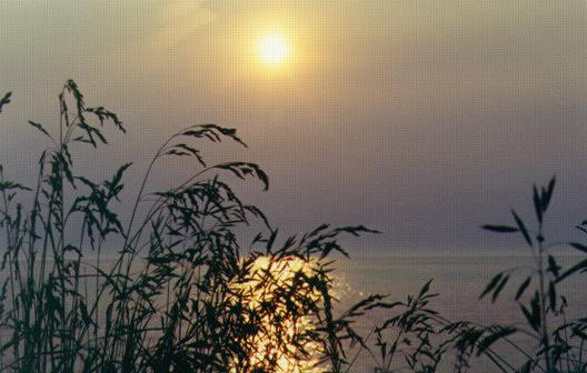 Tranquility: S-390