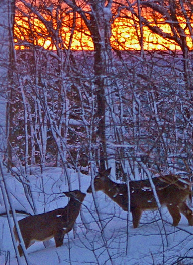 A Benzie County Winter Sunset: W-470